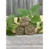 Solid hair shampoo with argan oil